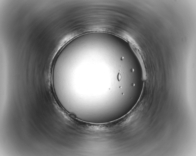 X0000086900994200704301013