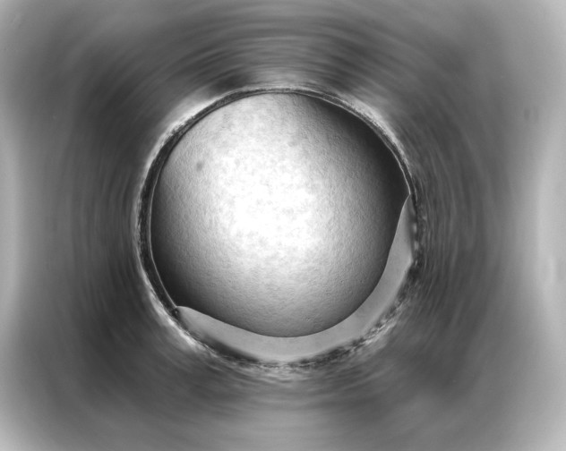 X0000086900995200704301013