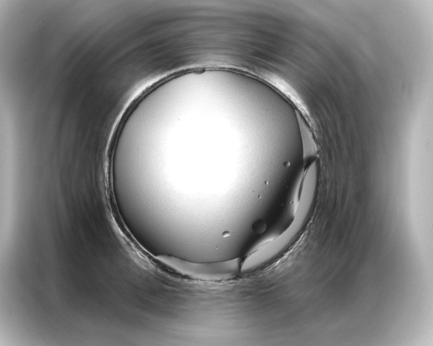 X0000086900996200704301013