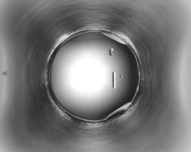 X0000086900997200704301013