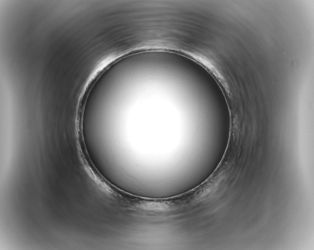 X0000086900998200704301013