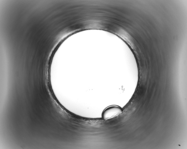 X0000086901000200704301013