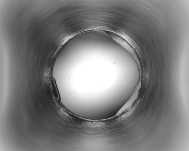 X0000086901001200704301013