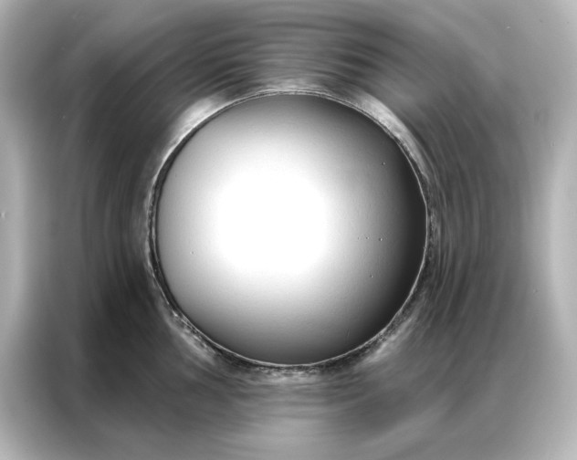 X0000086901002200704301013