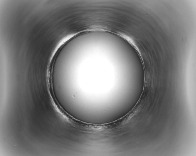 X0000086901003200704301013