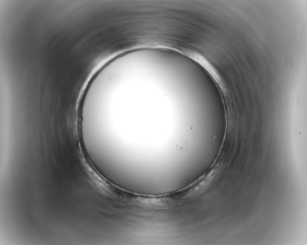 X0000086901004200704301013