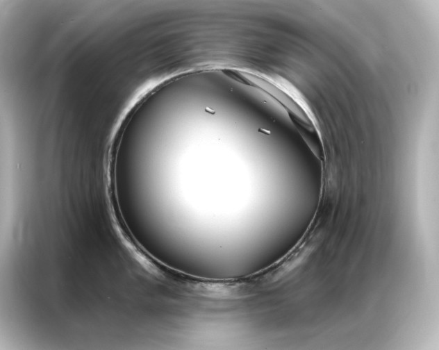 X0000086901005200704301013