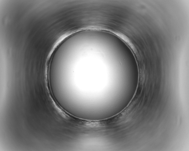 X0000086901006200704301013