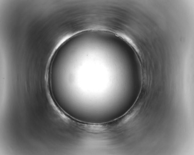 X0000086901007200704301013