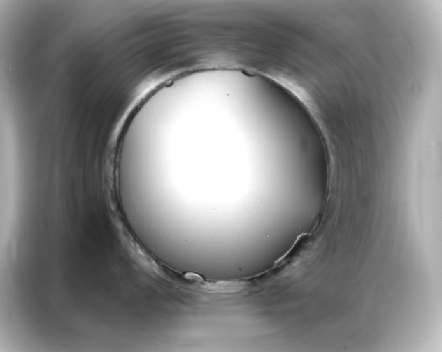 X0000086901008200704301013