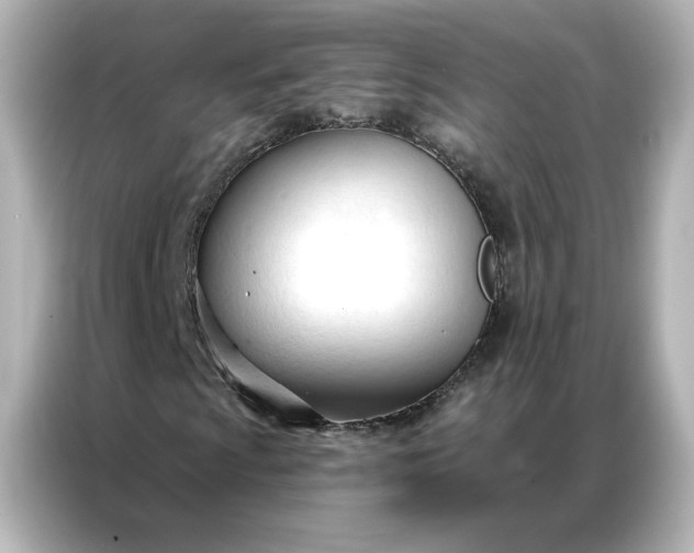 X0000086901009200704301012