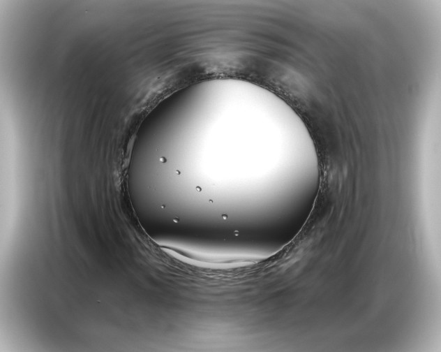 X0000086901012200704301012