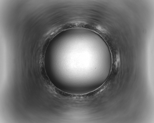 X0000086901014200704301013