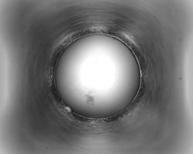 X0000086901015200704301013