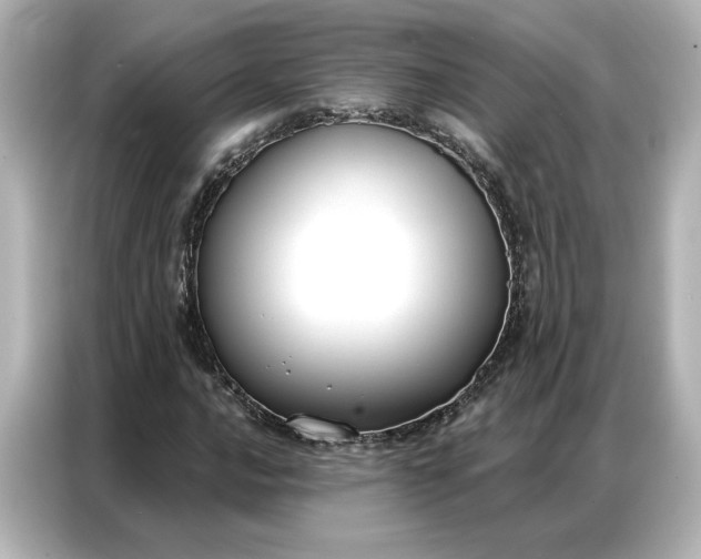 X0000086901016200704301013