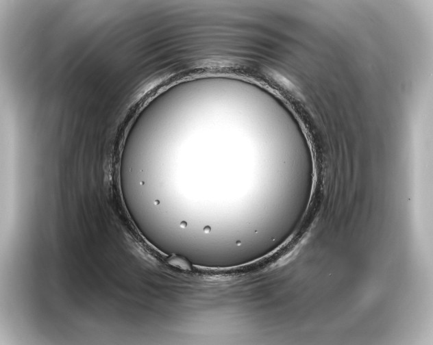 X0000086901017200704301013