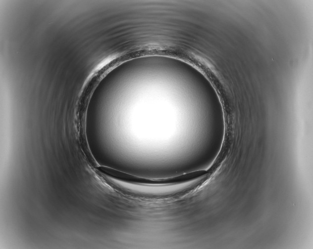 X0000086901018200704301013