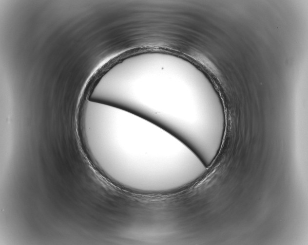 X0000086901020200704301013