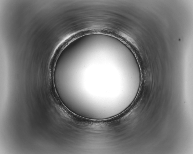 X0000086901021200704301013