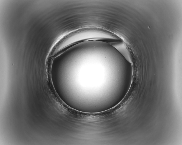 X0000086901022200704301013