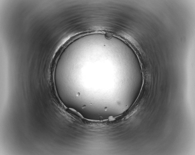 X0000086901023200704301013