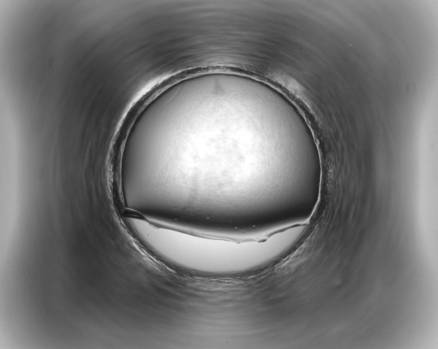 X0000086901024200704301013