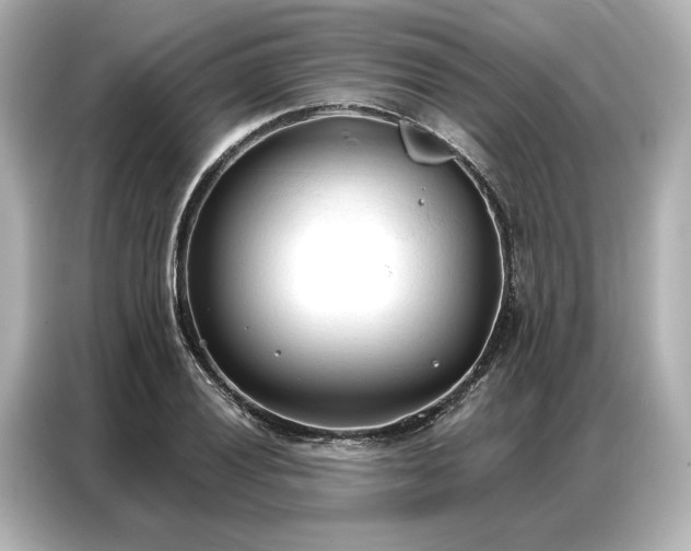 X0000086901028200704301013