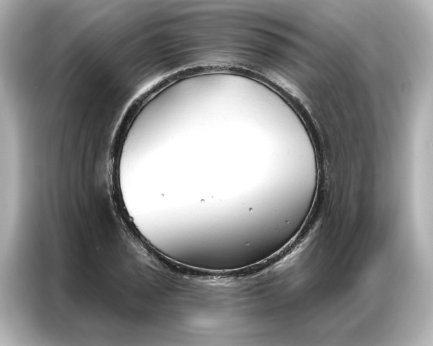 X0000086901029200704301013