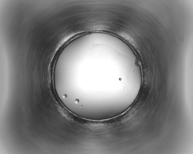 X0000086901031200704301013