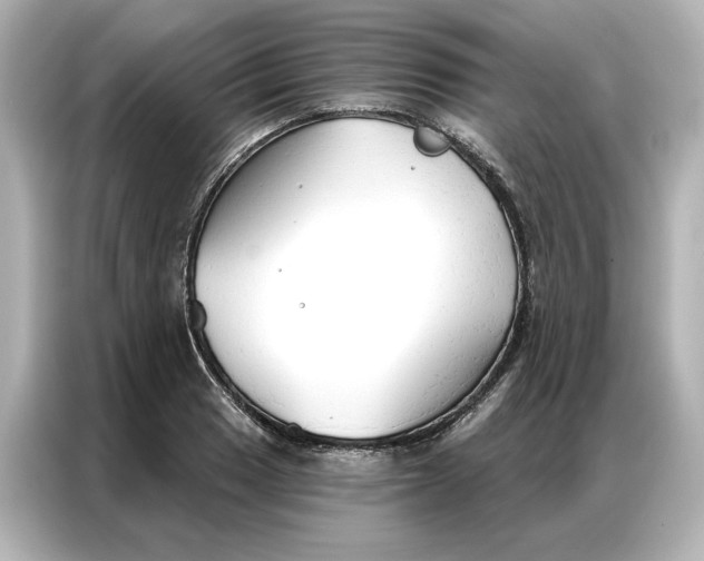 X0000086901033200704301013