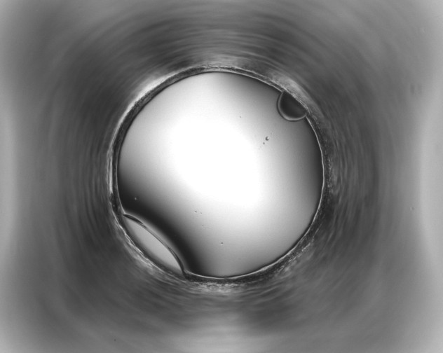 X0000086901036200704301013