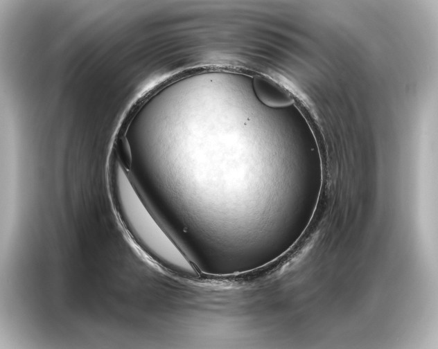 X0000086901037200704301013