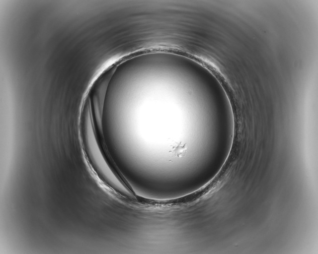 X0000086901038200704301013