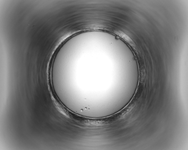 X0000086901039200704301013