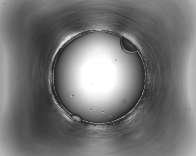 X0000086901040200704301013