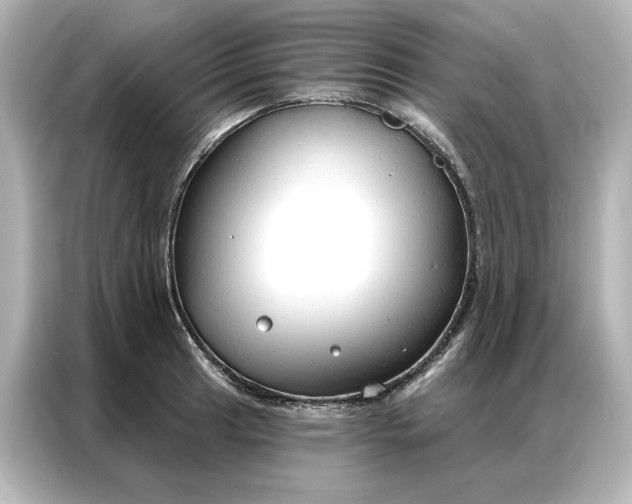 X0000086901041200704301013