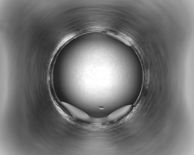 X0000086901042200704301013