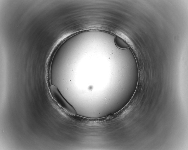 X0000086901043200704301013