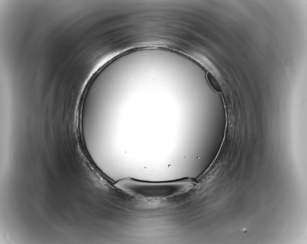 X0000086901044200704301013