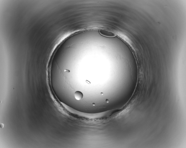 X0000086901047200704301013