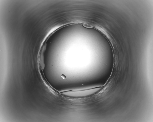 X0000086901048200704301013