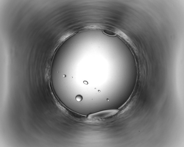 X0000086901049200704301013