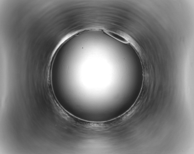 X0000086901052200704301013