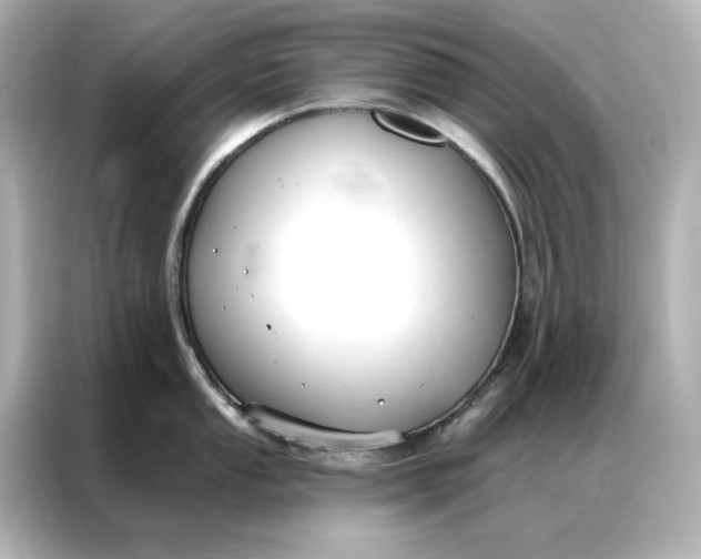 X0000086901053200704301013