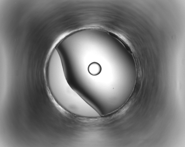 X0000086901054200704301013