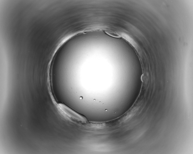 X0000086901055200704301013