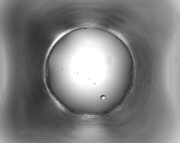 X0000086901056200704301013