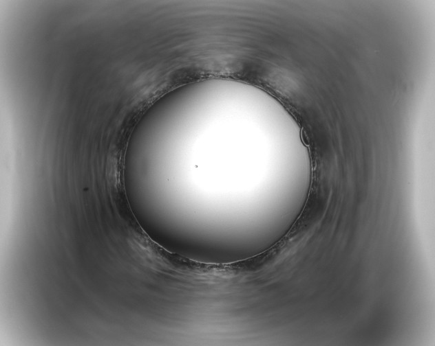 X0000086901058200704301012