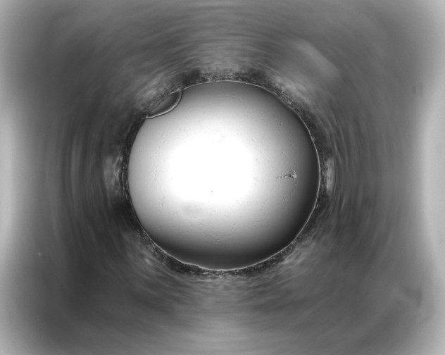 X0000086901059200704301012