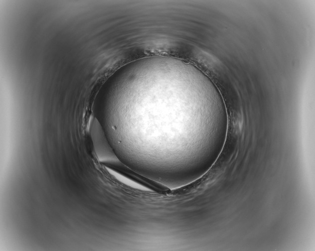 X0000086901060200704301012